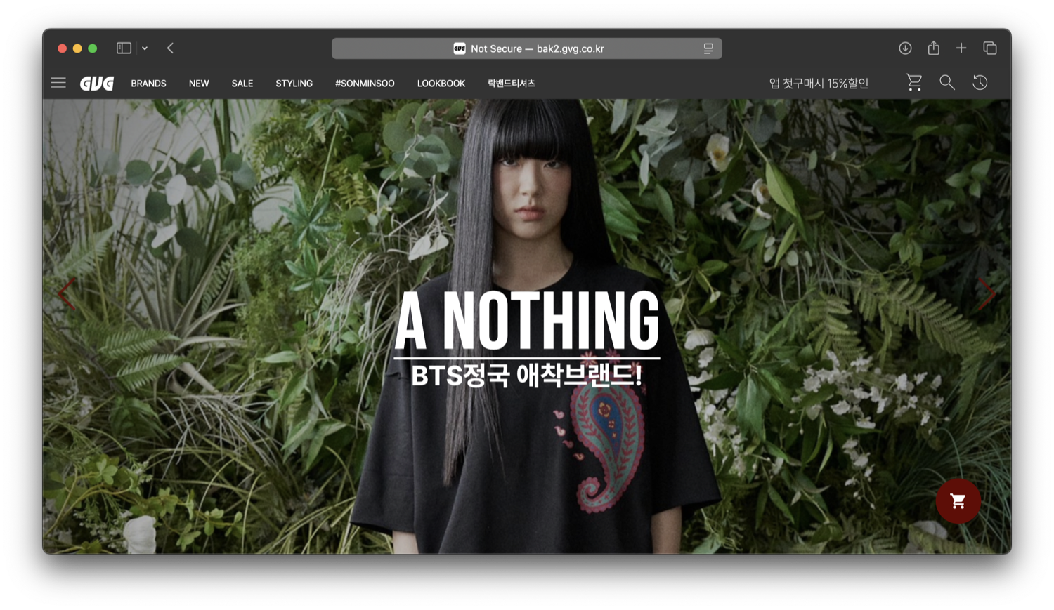 GVG STORE Web screen 1