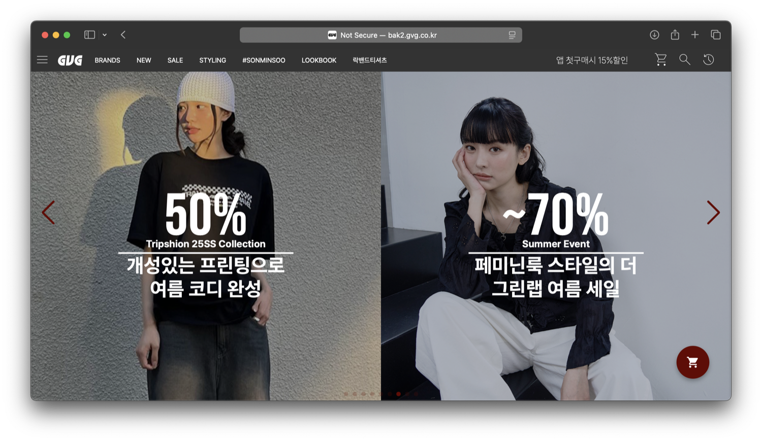 GVG STORE Web screen 3