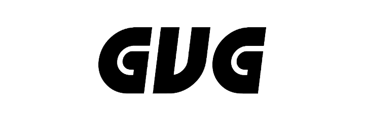 GVG STORE Web logo